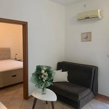 Apartment Zica *