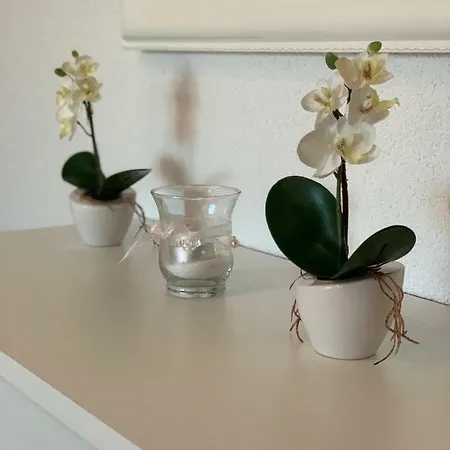 Apartment Zica Trogir