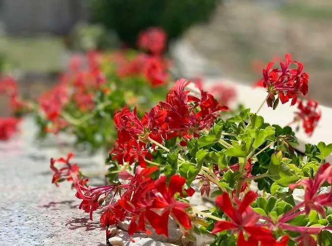 Zica Apartman Trogir