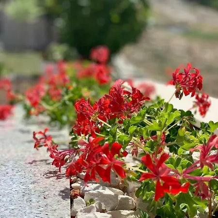 Zica Apartament Trogir